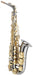 Trevor James Horn Classic II Alto Sax Outfit - Black. Gold Keys