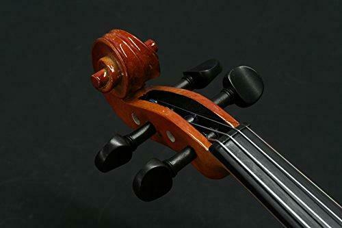Stentor Student II Violin Outfit 1/2