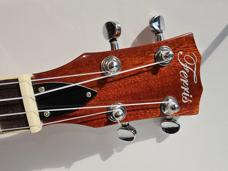 Ferris Concert Banjolele with Aquila strings