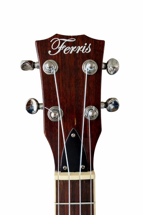 Ferris Concert Banjolele with Aquila strings