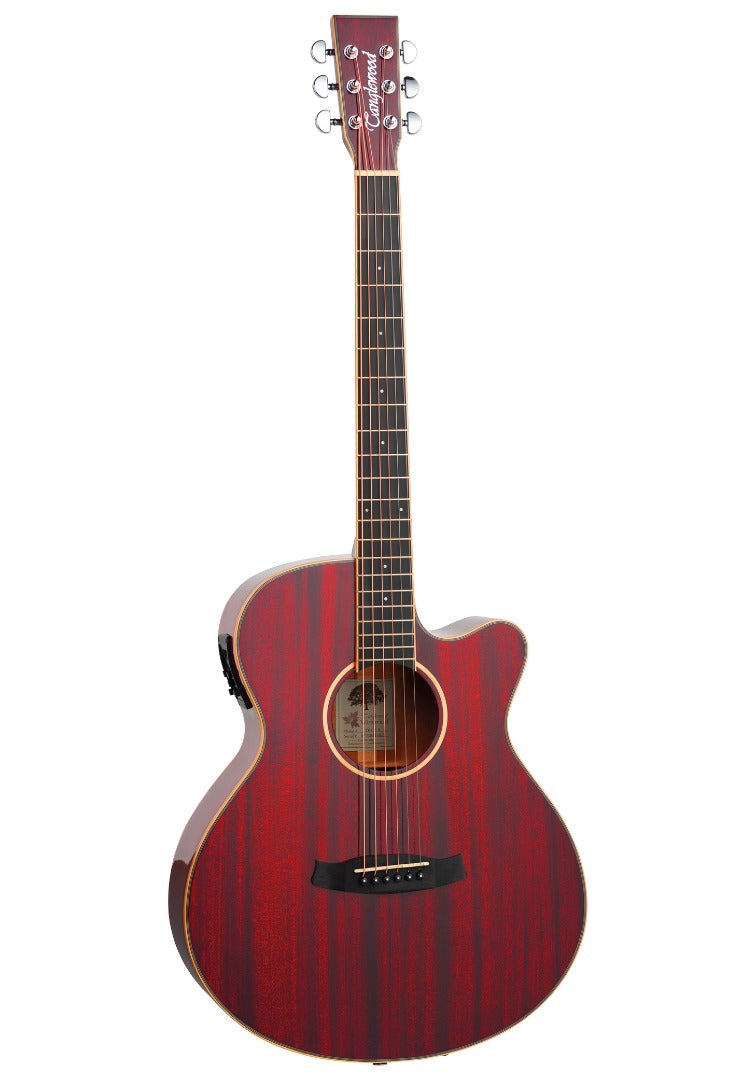 Electro Acoustic Guitars