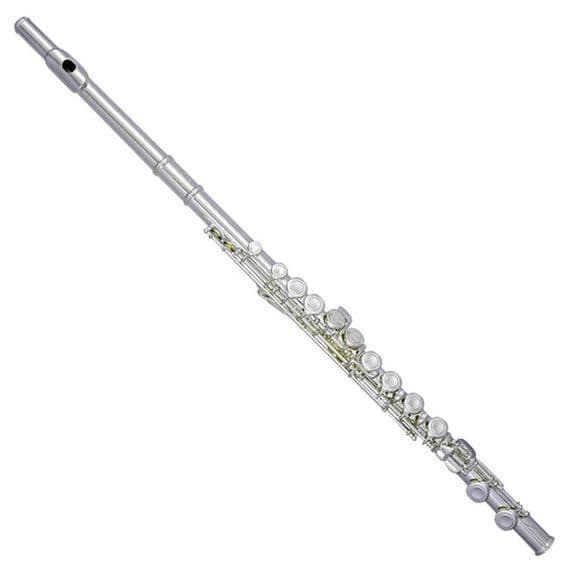 Trevor James Concert Flute TJ10X 3041EAW (EX DISPLAY)
