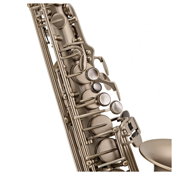 Trevor James Alto Saxophone ''The Horn'' Frosted Gold 3738KF