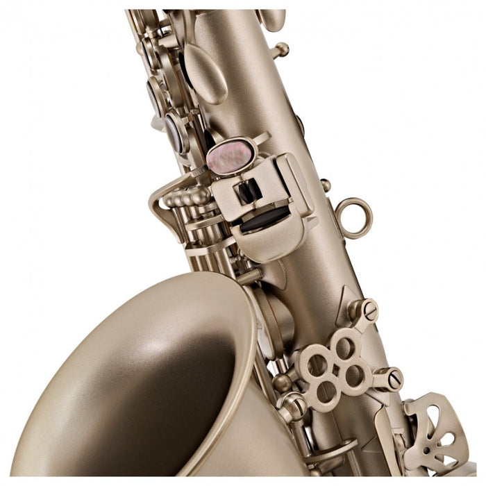 Trevor James Alto Saxophone ''The Horn'' Frosted Gold 3738KF