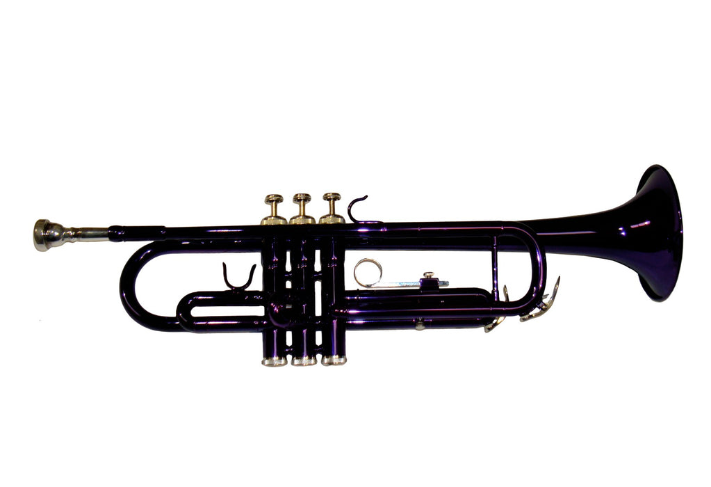 Ferris Student Bb Trumpet with Case Purple