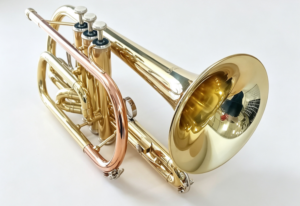 Ferris Bb Cornet with Case