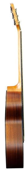 Brunswick Grand Auditorium Tobacco Burst Satin BF200TB