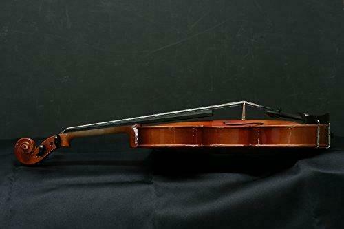 Stentor Violin Outfit Student II 3/4