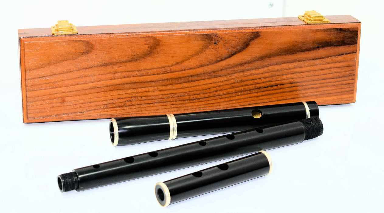 Irish D Flute in Wooden Case