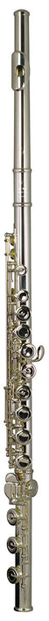 Trevor James Virtuoso Flute Outfit - CT Trad Lip - B Foot