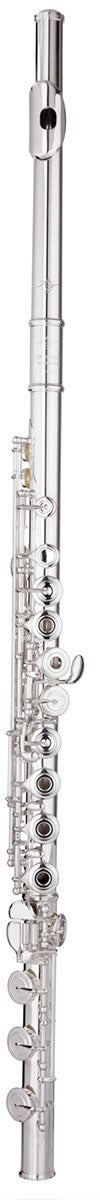 Trevor James Virtuoso Flute Outfit - CT Trad Lip - B Foot - Open Hole