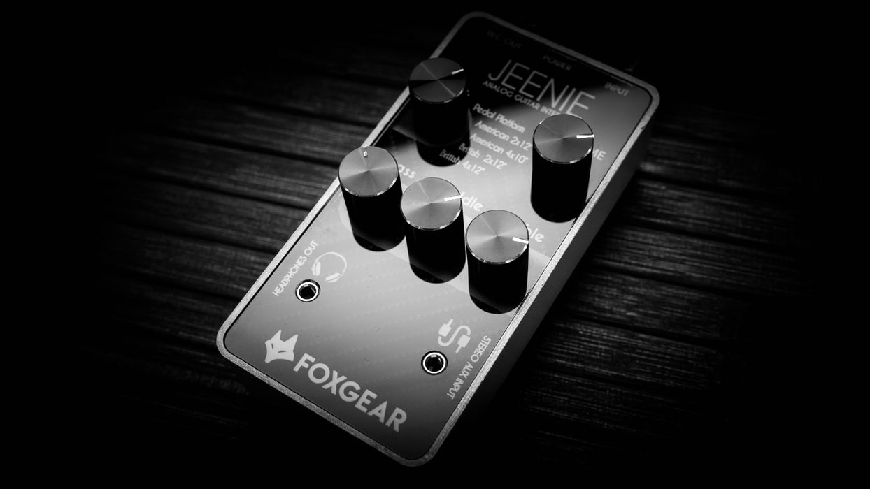 Foxgear JEENIE (Analog Guitar Interface)