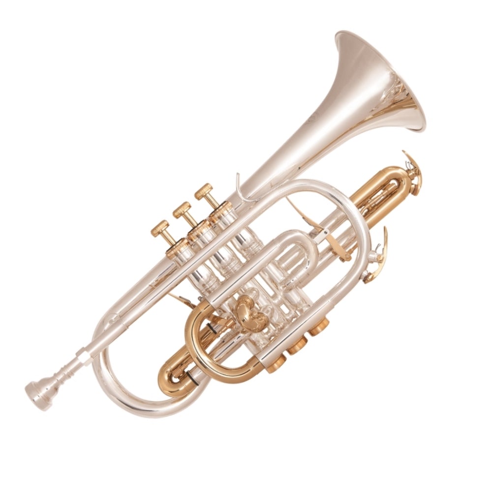 Cornet