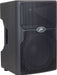 Peavey PVXp DSP 12 Speaker