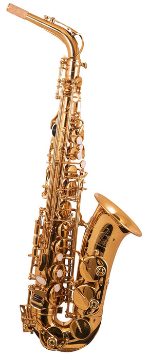 Trevor James 'The Horn' Alto Sax Outfit - Gold Lacquer