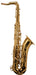 Trevor James 'The Horn' Tenor Sax Outfit - Gold Lacquer
